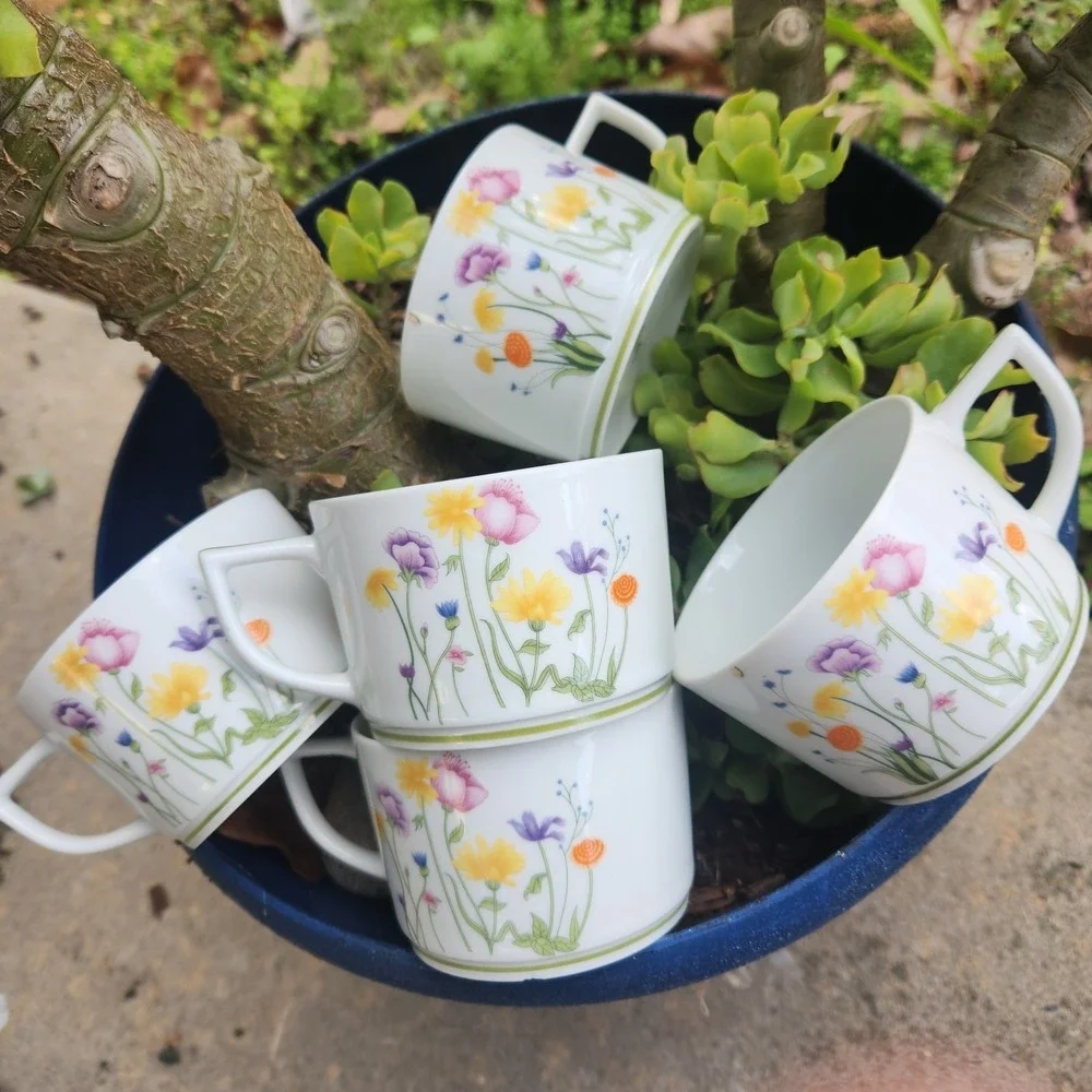 Denby English Garden Limoges France Porcelain Tea Cup Set‎ Of 5 Easter Spring